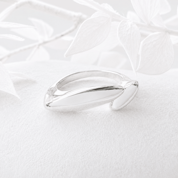 Dubbele ovaal ring smal zilver