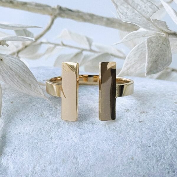 Dubbele staaf ring goud