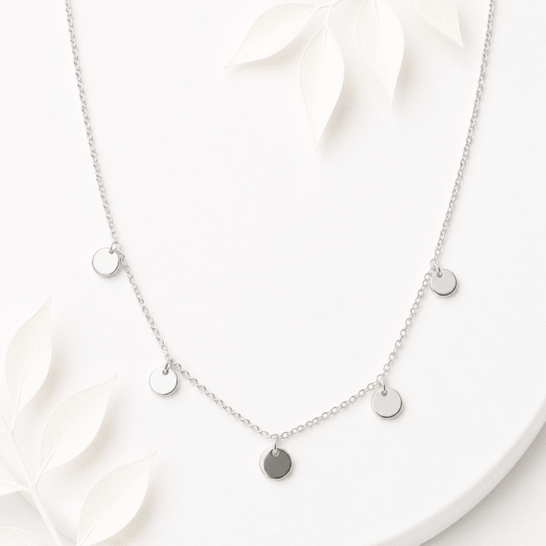 Ketting mini coins zilver RVS