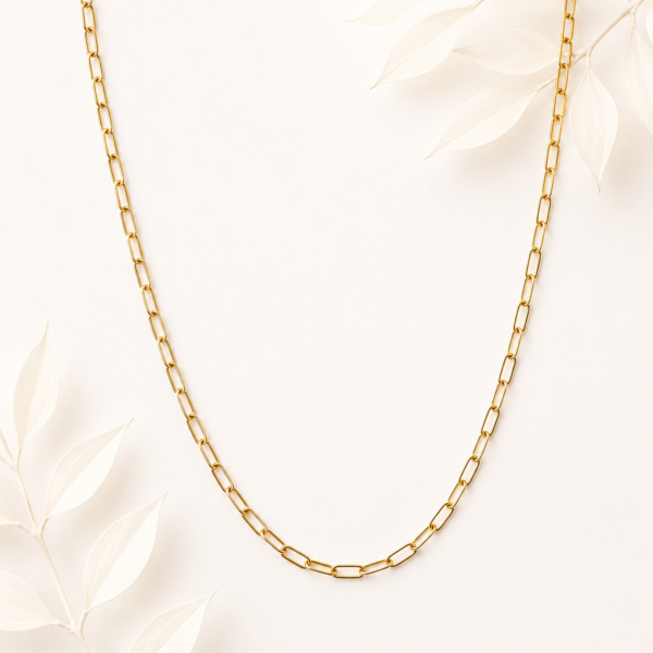 Schakelketting goud RVS