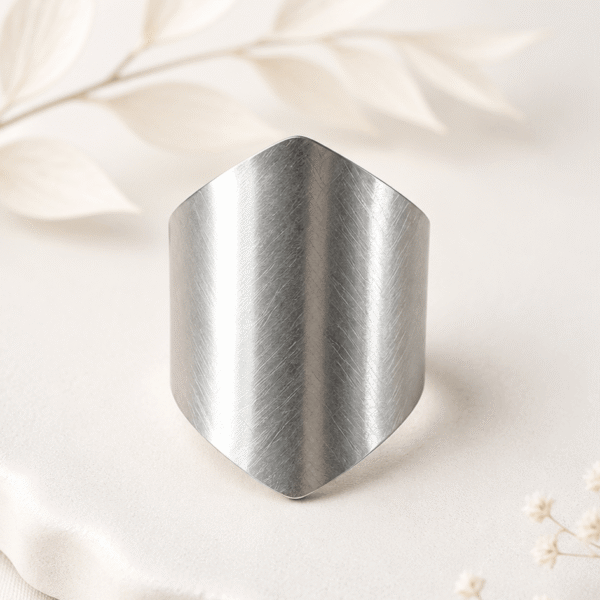 Schildvormige ring zilver RVS